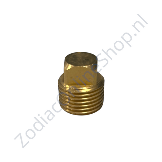 Z2738 Plug voor stop dubbele bodem RIB
